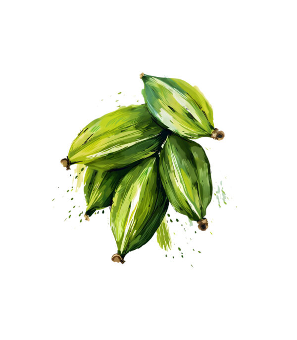 cardamom